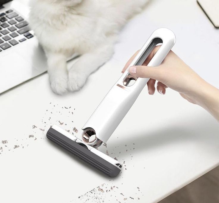 Portable Mini Mop